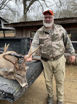 Deer Past