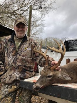 Deer Past