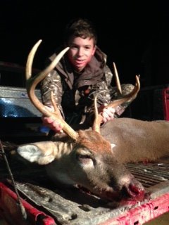 Deer Past