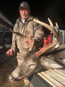 Deer Past
