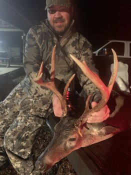 Deer Past