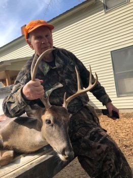 Deer Past