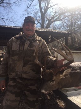 Deer Past