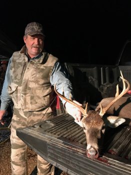 Deer Past