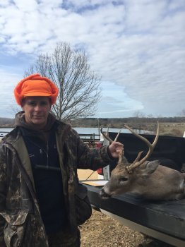 Deer Past