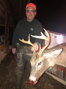 Deer Past