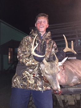 Deer Past