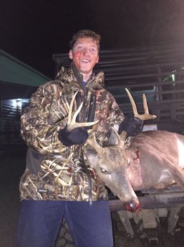 Deer Past