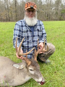 Deer Past