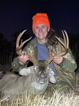 Deer Past