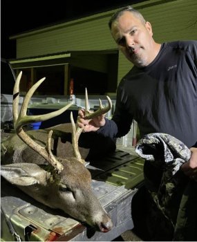 Deer Past