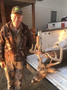 Deer Past