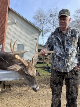 Deer Past