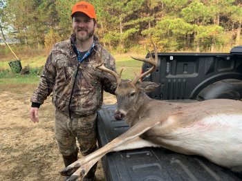 Deer Past