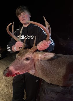 Deer Past