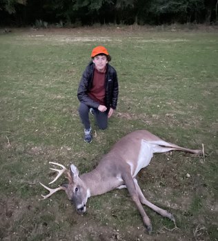 Deer Past