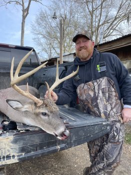 Deer Past