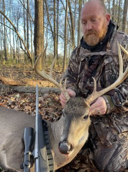 Deer Past