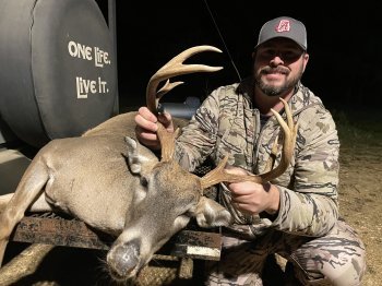 Deer Past