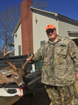 Deer Past