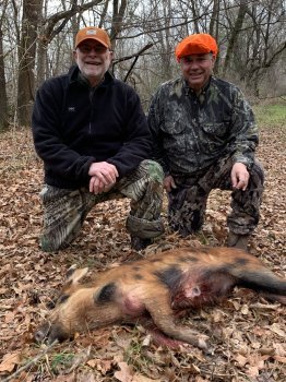 Deer Past