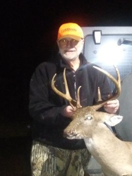 Deer Past