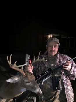 Deer Past