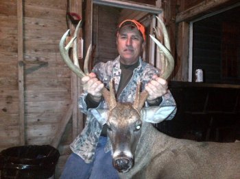 Deer Past