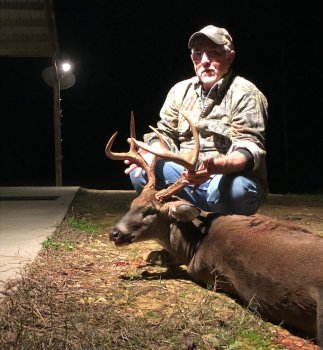 Deer Past