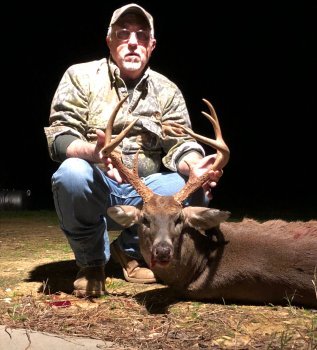 Deer Past