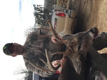 Deer Past