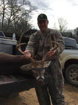 Deer Past