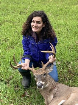Deer Past