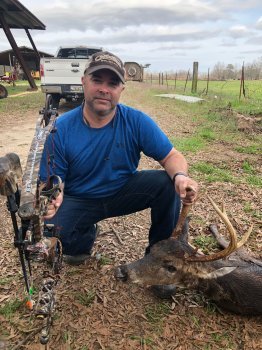 Deer Past