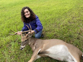 Deer Past