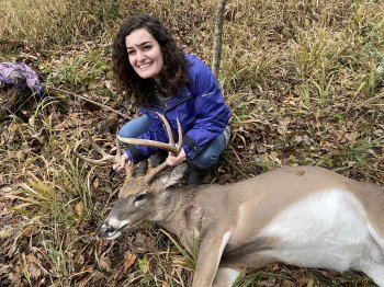 Deer Past