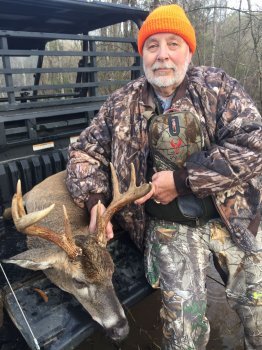 Deer Past
