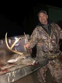 Deer Past