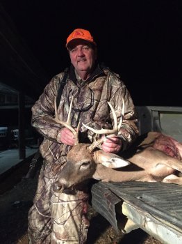 Deer Past