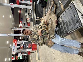 Deer Past