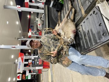 Deer Past