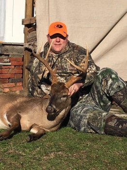 Deer Past