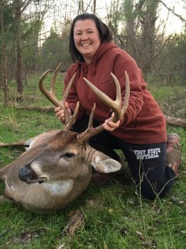 Deer Past