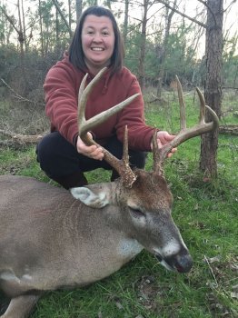 Deer Past