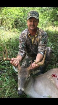 Deer Past