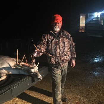 Deer Past