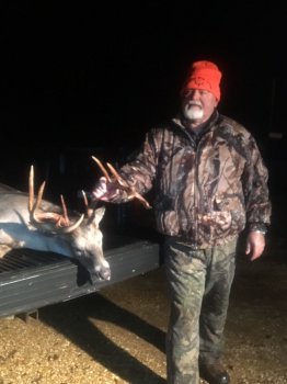 Deer Past