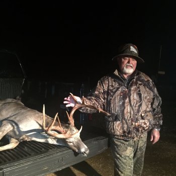 Deer Past