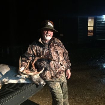 Deer Past