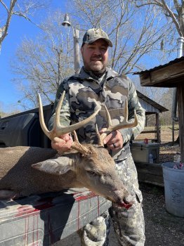 Deer Past